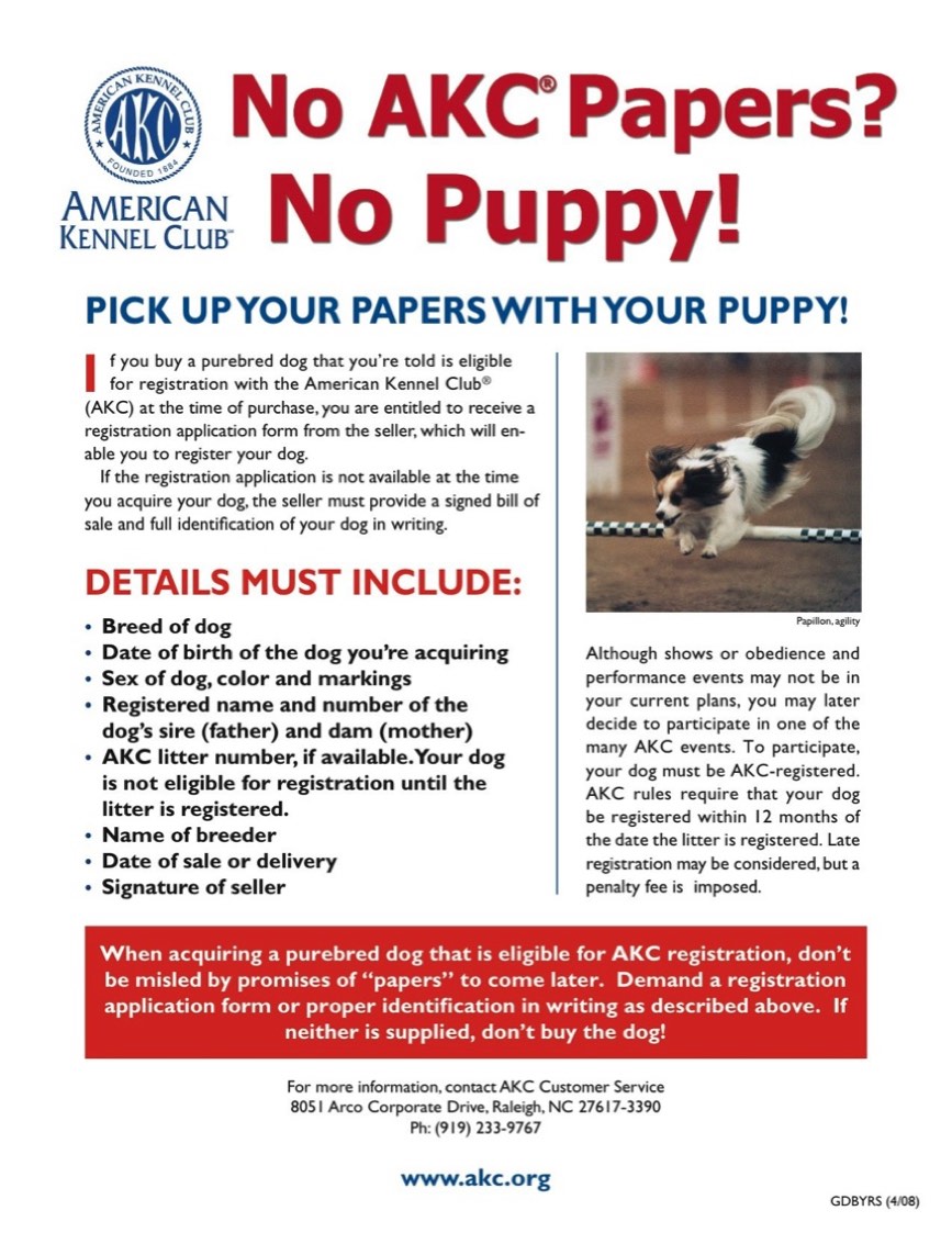 american kennel club dog registration